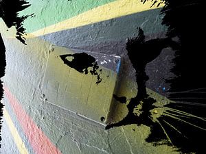 Kattenkunst - Boy 1