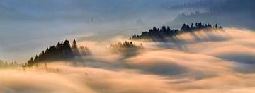 Fog in Pieniny mountains in sunrise light, Poland van Wojciech Kruczynski