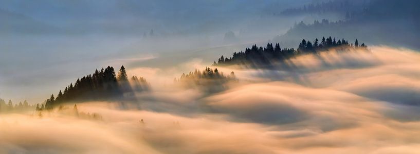 Fog in Pieniny mountains in sunrise light, Poland van Wojciech Kruczynski