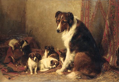 Un colley avec ses chiots (huile sur toile)