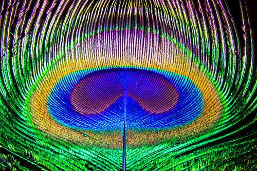 Schönheit liegt im Auge des Betrachters