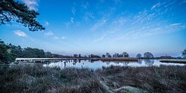 Paysage "Tôt le matin sur le Dwingelderveld". sur Coen Weesjes