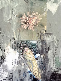Helleborus 'Behind' van Behindthegray