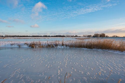 Winter wonderland