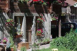 Ferienhaus in den Alpen von Alexander Vlemminx