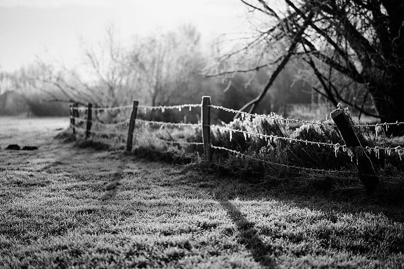 IJzige stilte - dageraad op het platteland van Momentaufnahme | Marius Ahlers