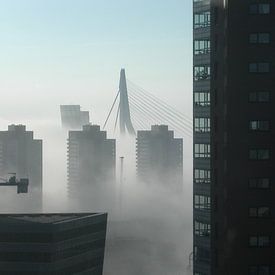 Rotterdam sur Coen de Haan