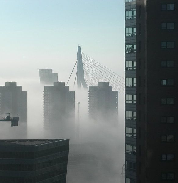 Rotterdam von Coen de Haan
