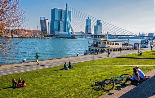 Ligne d'horizon de Rotterdam au pont Erasmus