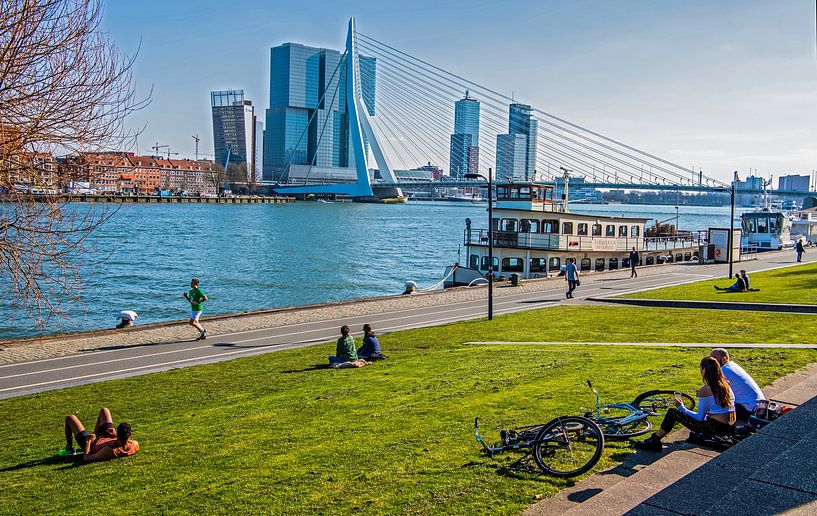 Rotterdam skyline at the Erasmus Bridge by Frank de Roo