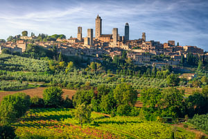 Die Skyline von San Gimignano über den toskanischen Weinbergen