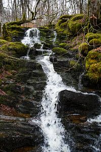 Kleine waterval in Schotland van Sylvia Photography