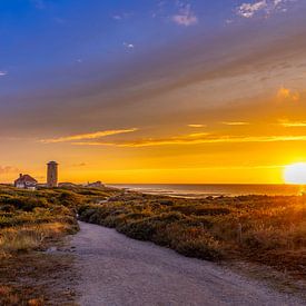 Zonsondergang in de duinen van Domburg van Danny Bastiaanse