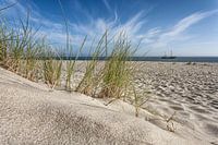 Bij de Sylt Elleboog