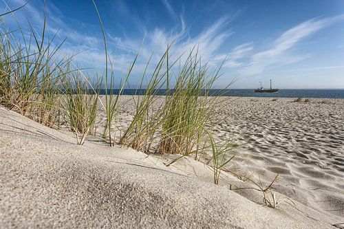 Bij de Sylt Elleboog van Beate Zoellner