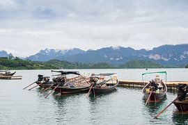 Khao Sok National park von Martijn Bravenboer