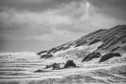 Beach Ameland
