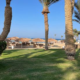 William Masseur Profilfoto