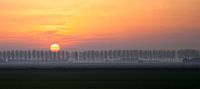 leaving the day