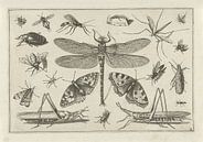 Insekten, Jacob Hoefnagel, nach Joris Hoefnagel von Vintage en botanische Prenten Miniaturansicht