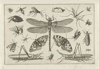 Insects, Jacob Hoefnagel, na Joris Hoefnagel