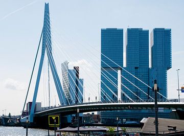 Erasmusburg Rotterdam van Anuska Klaverdijk