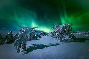 Het licht van Lapland. van Stan Bessems