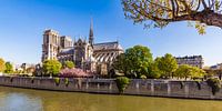 Notre-Dame à Paris par Werner Dieterich Aperçu