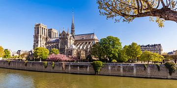 Notre-Dame in Parijs van Werner Dieterich