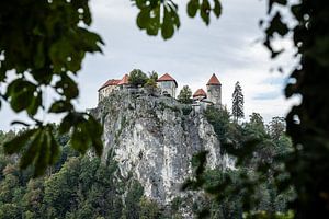 Blick auf die Burg Bled am Bleder See in Slowenien