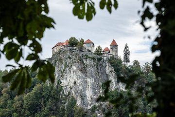 zicht op kasteel Bled, aan het meer van bled van Slovenië van Eric van Nieuwland