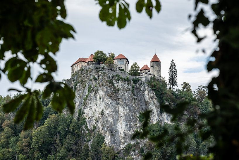 view of Bled Castle, on Lake bled of Slovenia by Eric van Nieuwland