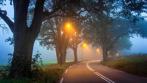Zijpendaalseweg op een mistige ochtend
