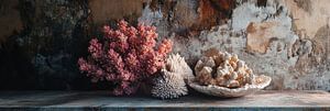 Corail en lumière douce comme nature morte panoramique