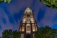 De Domtoren in de avond.