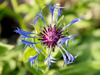 Natuur in kleur