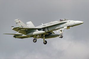 McDonnell Douglas F/A-18C Hornet der finnischen Luftwaffe.