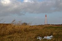 vuurtoren van Campen