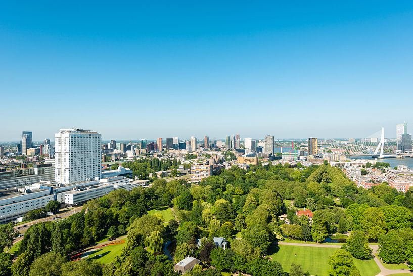 Rotterdam met de Erasmusbrug in panorama van Brian Morgan