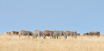 I don't see you, so you don't see me