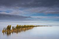 Stilte in het Waddengebied