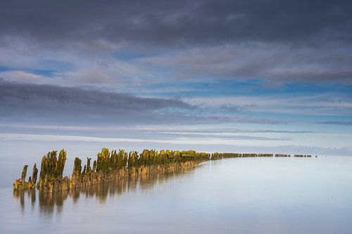 Stilte in het Waddengebied