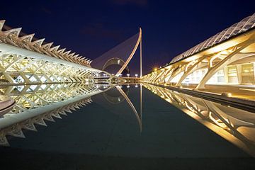 Valencia - L'Àgora/ Ciudad de las Artes y las Ciencias van Frank Herrmann