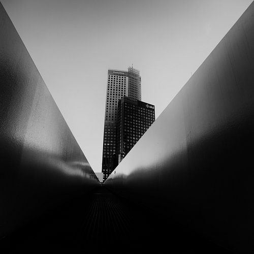 Mono Square Series XLIII