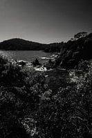 Schöne Küstenlandschaft mit Bergen