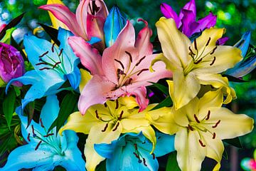 Un bouquet de grands lys arc-en-ciel en fleurs