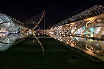 Ciudad de las Artes y las Ciencias van Tilly Meijer