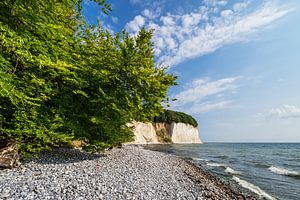 Kreidefelsen an der Küste der Ostsee auf der Insel Rügen
