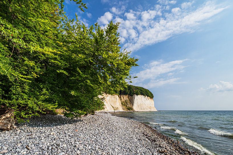Kreidefelsen an der Küste der Ostsee auf der Insel Rügen von Rico Ködder