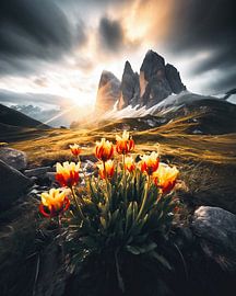 A morning in the Dolomites